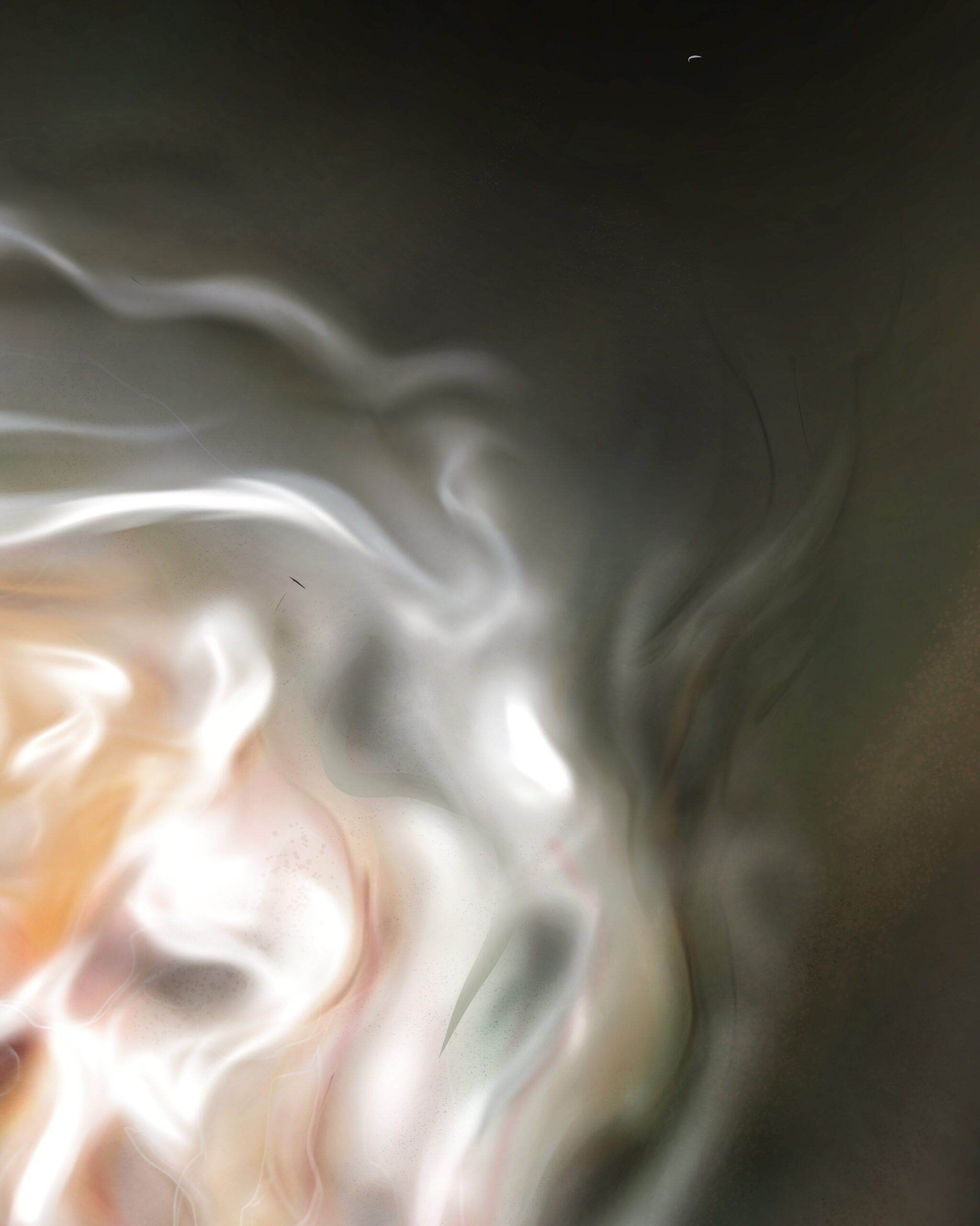 Close-up of Cevenant by Denis Leclerc, part of the Emergence series, with smooth light-grey textures and delicate organic lines.