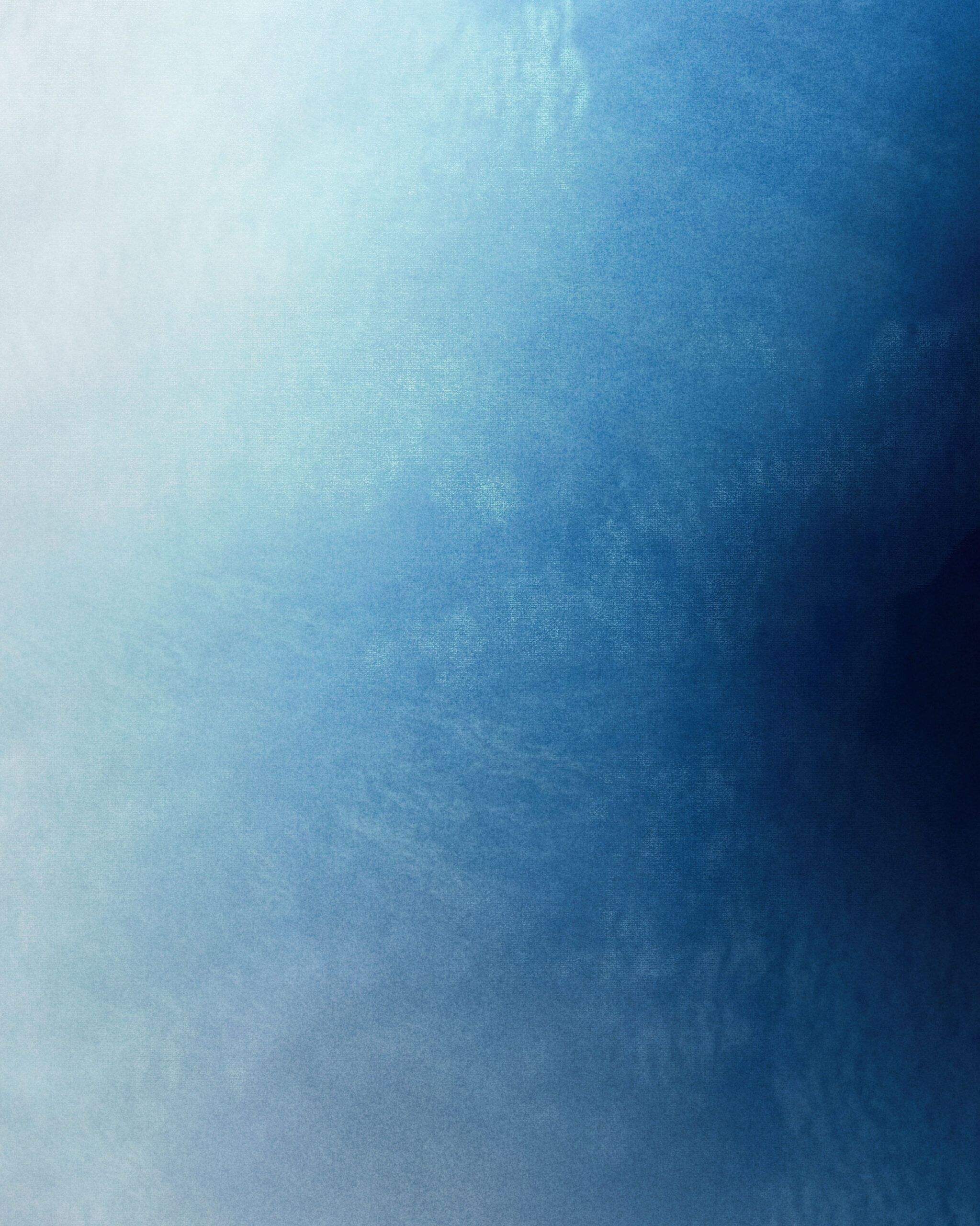 framed digital artwork Leucosia displayed on a gallery wall, soft light, contemporary interior