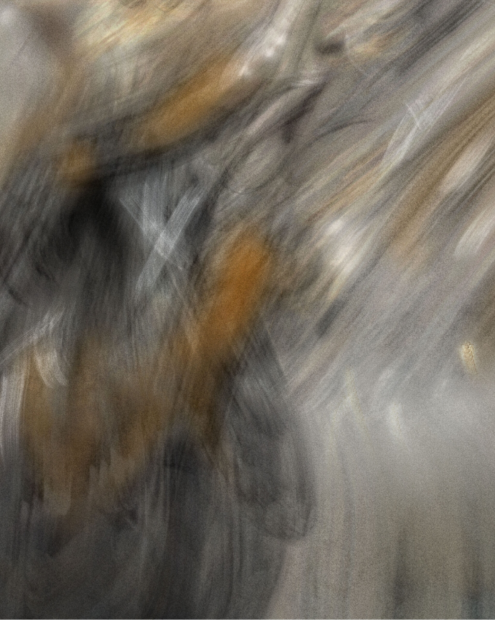 Abstract detail from Ligea Digital Art, featuring swirling grey and amber tones with soft motion and layered digital brushwork.