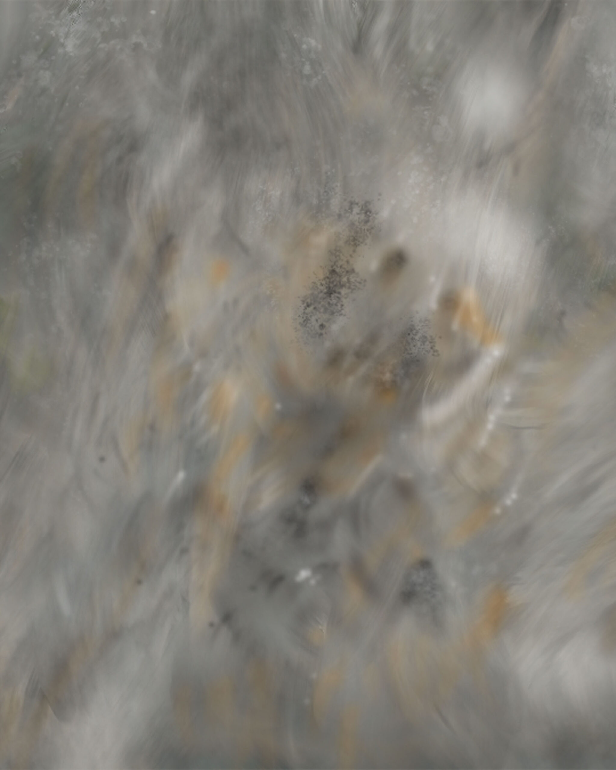 Screen-based version of Ligea Digital Art showing soft grey, gold, and charcoal textures in a suspended abstract motion.