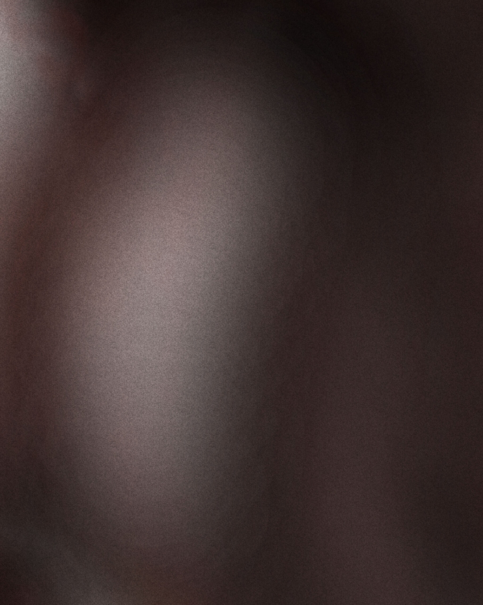 Dark abstract detail from Nerithe digital artwork with blurred organic forms and muted earth tones