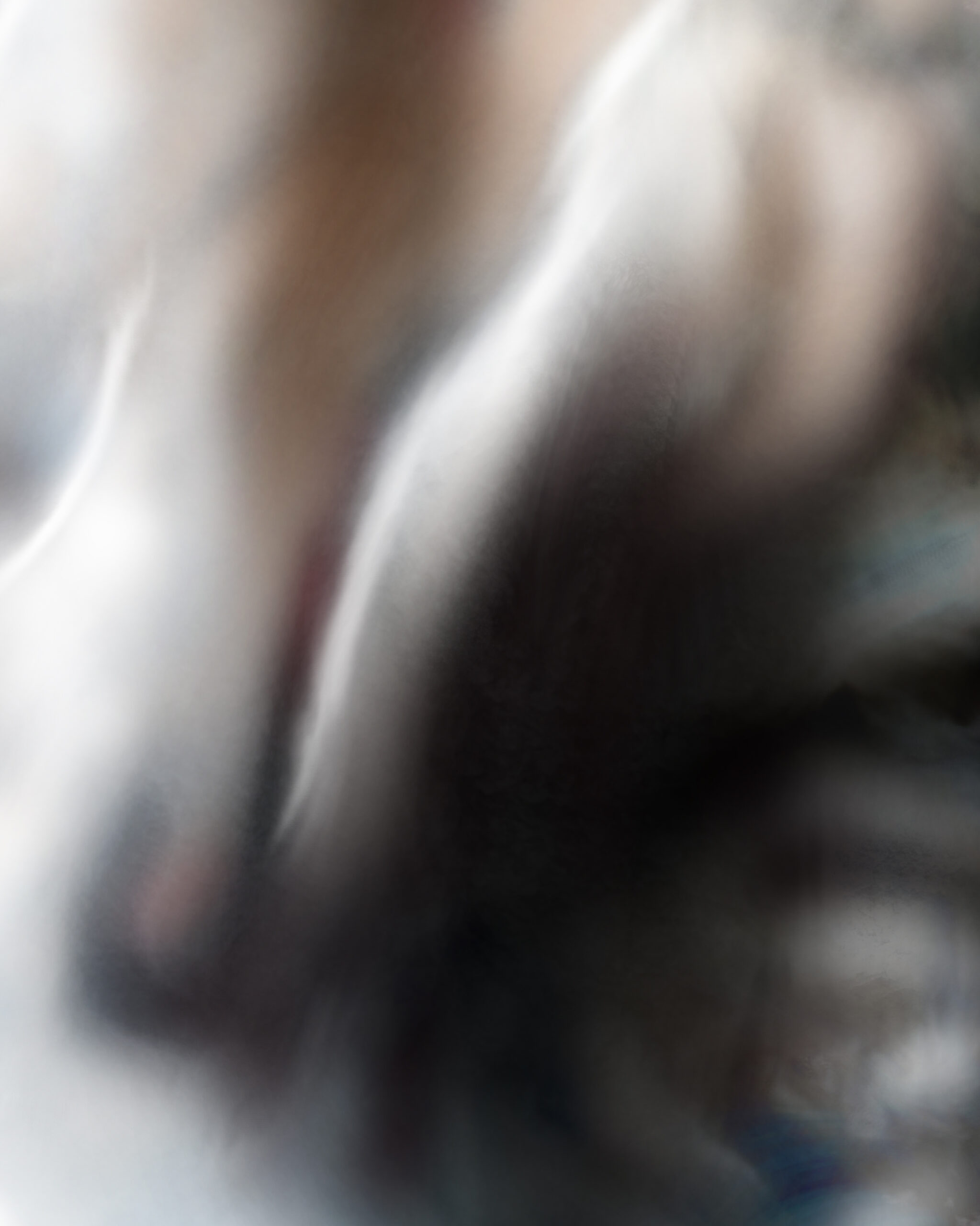 Close-up detail of Parthenope revealing soft dissolving forms, light, and avian textures from the Siren Digital Art Series.