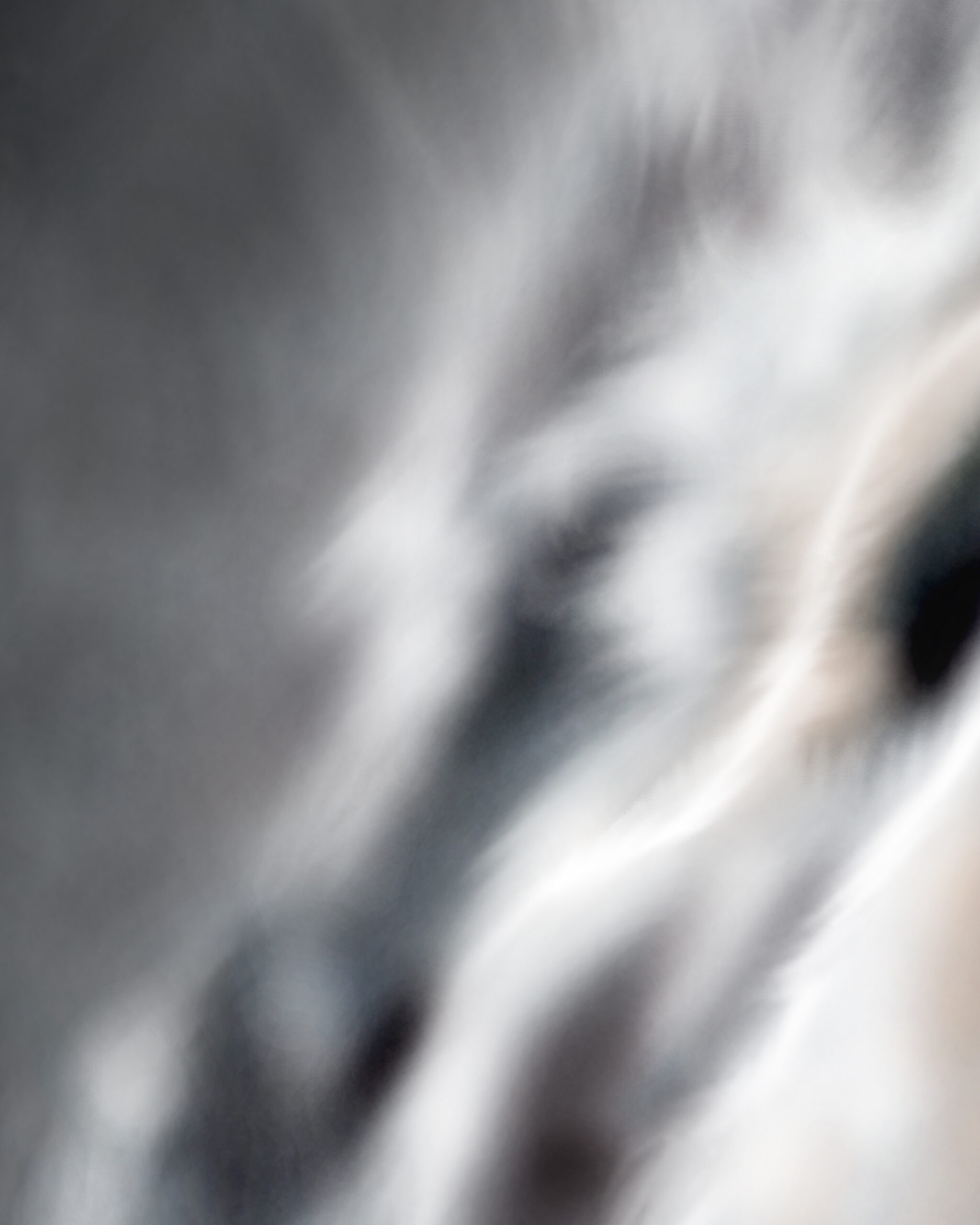 Fine-detail view of Parthenope showing subtle feathers, mist-like textures, and abstract light — Siren Digital Art Series.