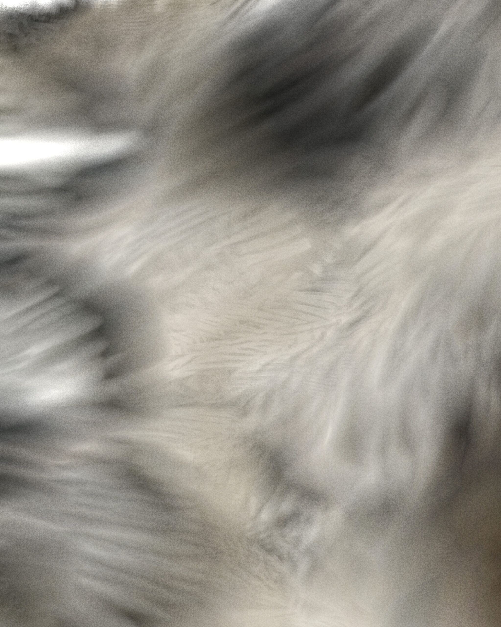 Abstract detail of Atheria by Denis Leclerc showing flowing lines and soft tonal transitions