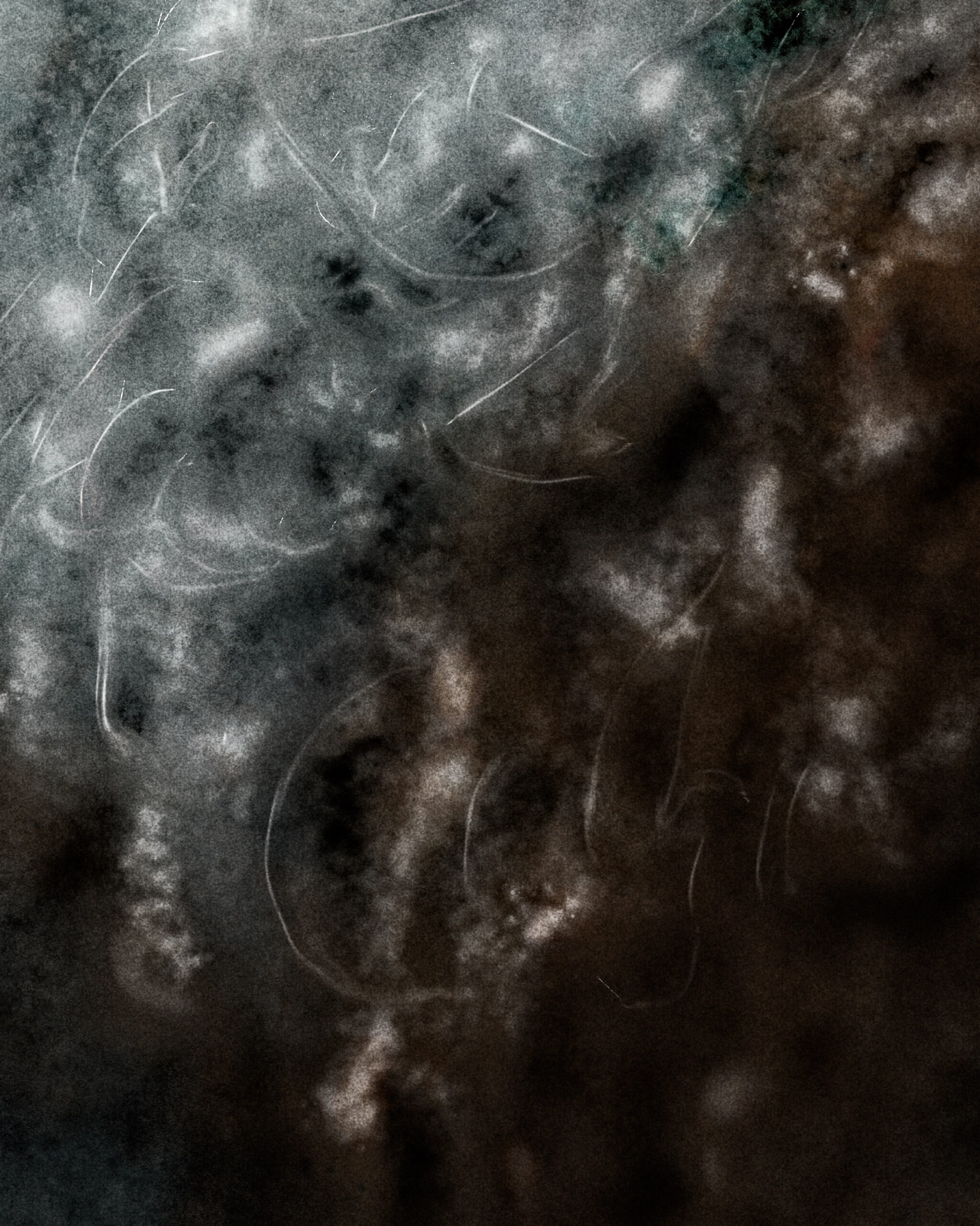 Close-up detail of Core Memory by Denis Leclerc, showcasing texture and compressed forms.
