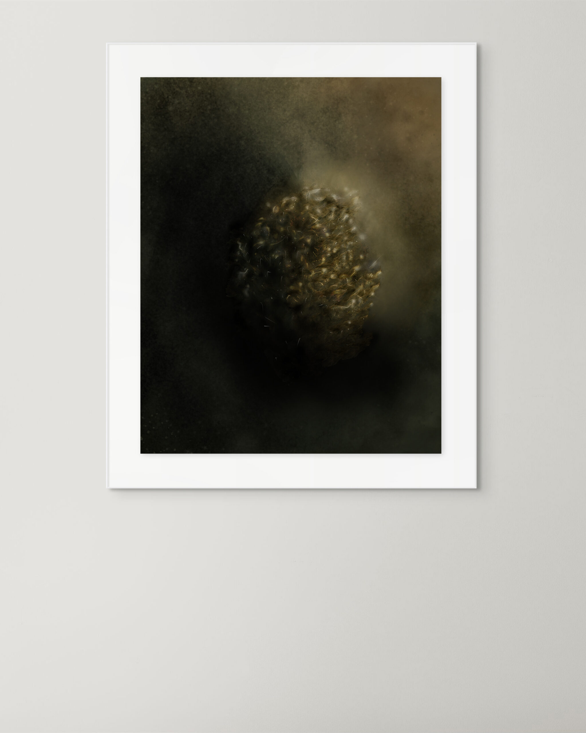 Framed simulation of the Lithomorphe artwork on a pale wall