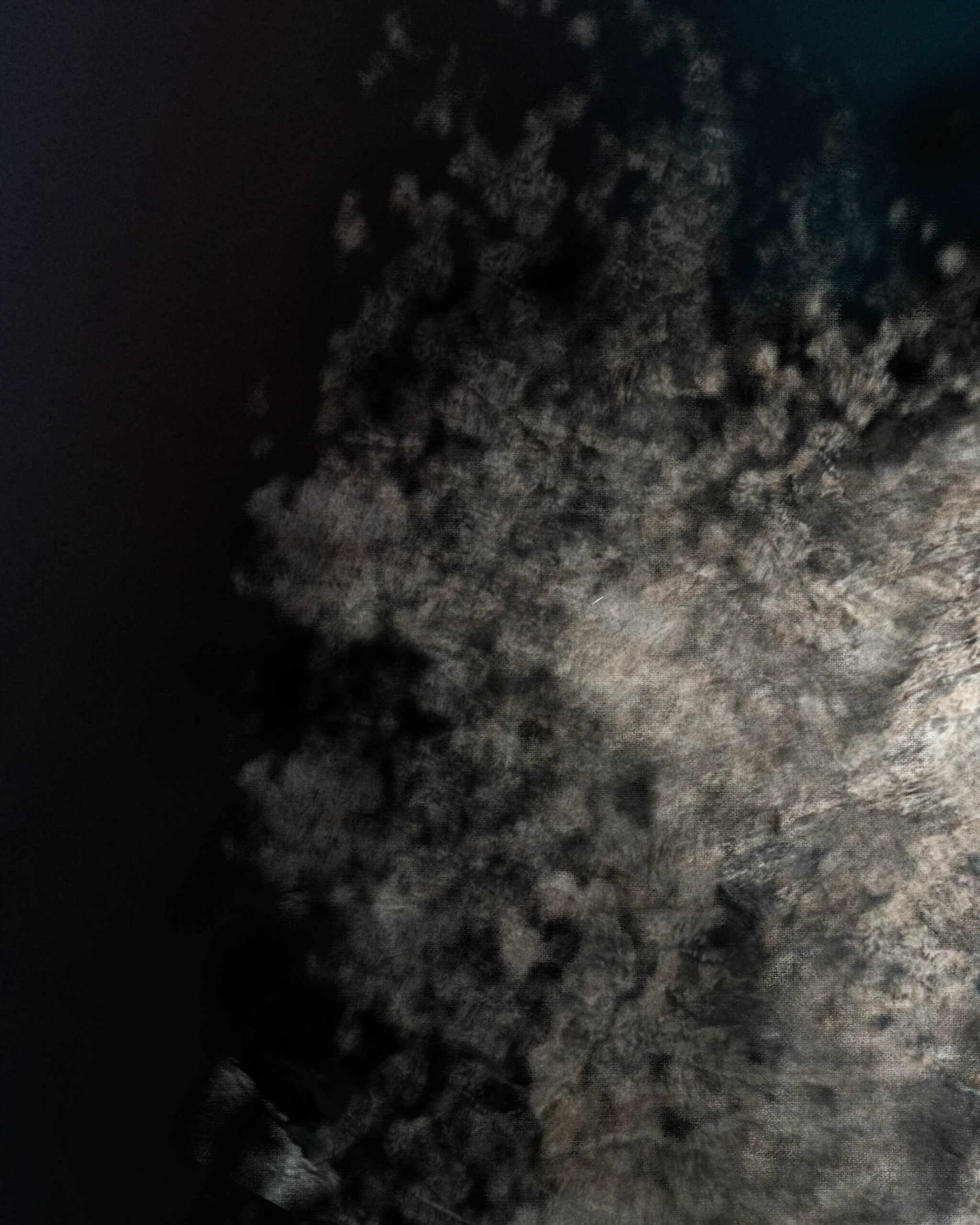 Detail of Red Tide by Denis Leclerc highlighting geological tension, compressed textures, and muted red tones