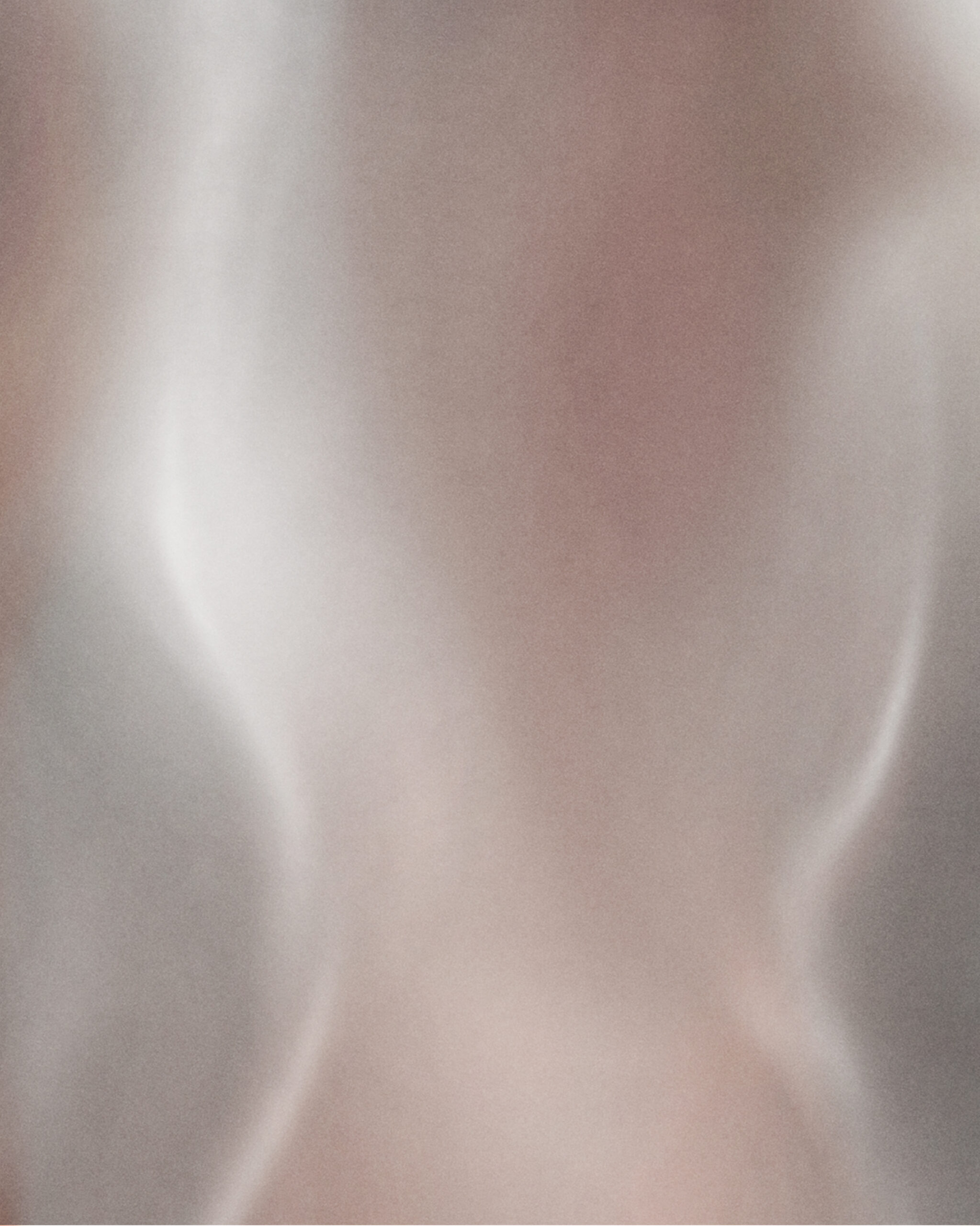 Detail of Ur IV digital artwork emphasizing softened contours and layered tonal gradients, where material presence overrides defined form